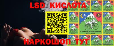 меф Кингисепп
