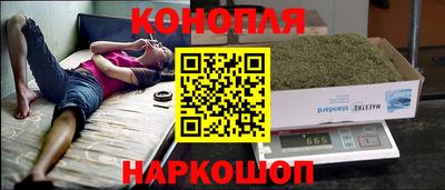 спиды Кинель