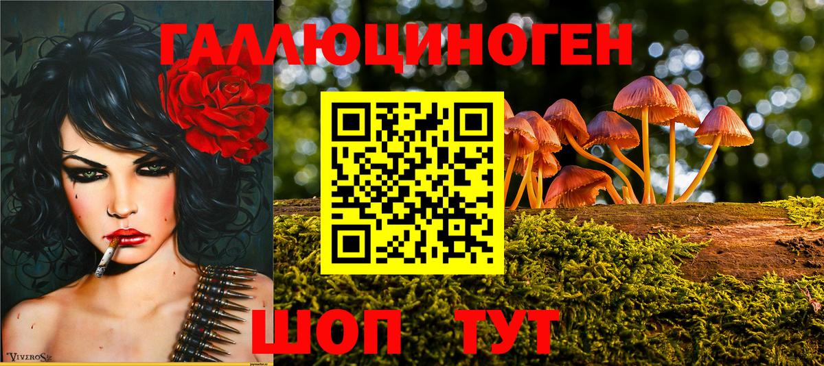 МЕТАДОН Елизово