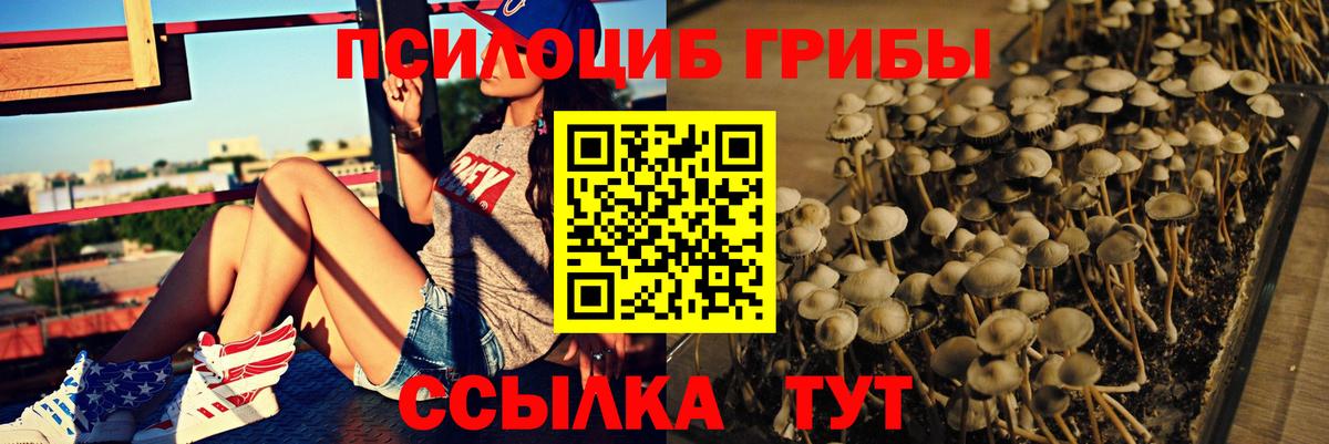 Галлюциногенные грибы Psilocybine cubensis Елизово